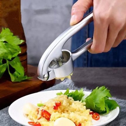 سیر له کن برند شنگیا