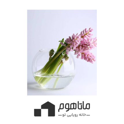 تنگ توپی پاشاباغچه Botanica